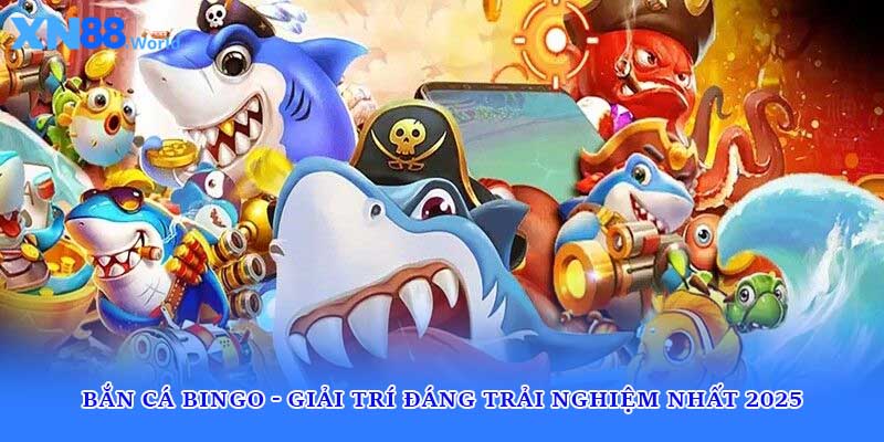 Bắn Cá Bingo - Giải Trí Đáng Trải Nghiệm Nhất 2025
