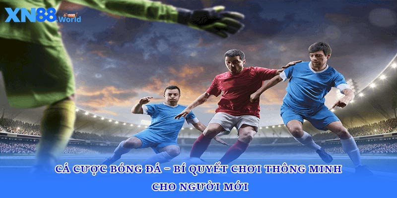 Cá Cược Bóng Đá – Bí Quyết Chơi Thông Minh Cho Người Mới