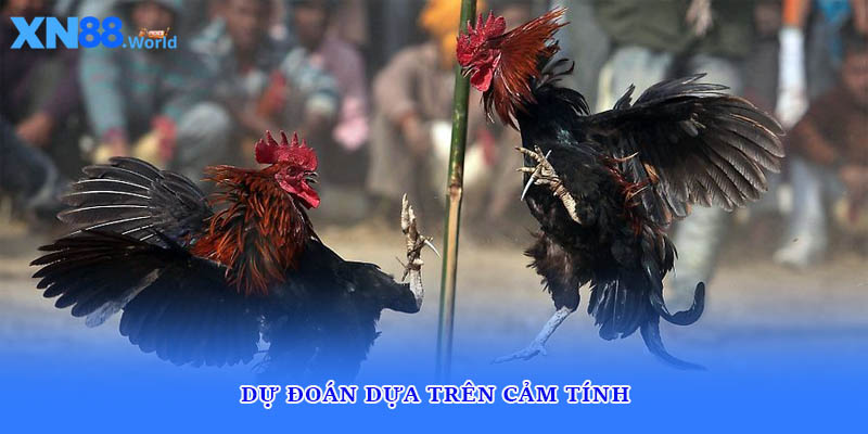 Dự đoán dựa trên cảm tính