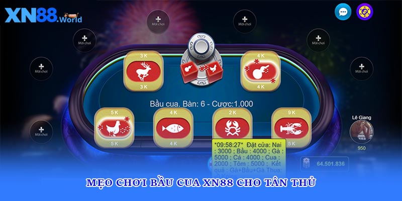 Mẹo chơi bầu cua XN88 cho tân thủ