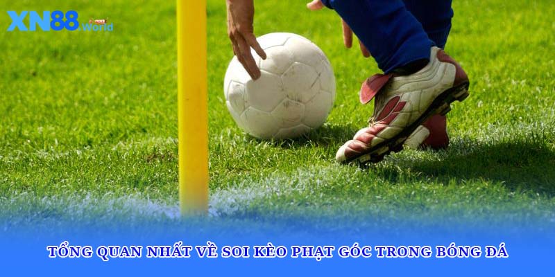 Tổng quan nhất về soi kèo phạt góc trong bóng đá